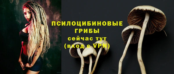 первитин Михайловка