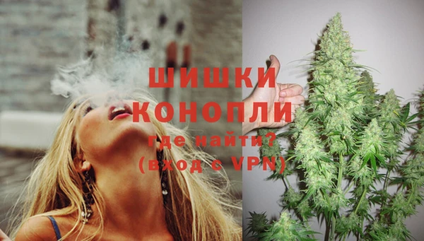 спайс Бердск