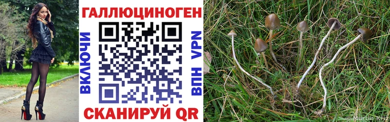 мега ссылка  как найти закладки  Новошахтинск  Псилоцибиновые грибы прущие грибы 