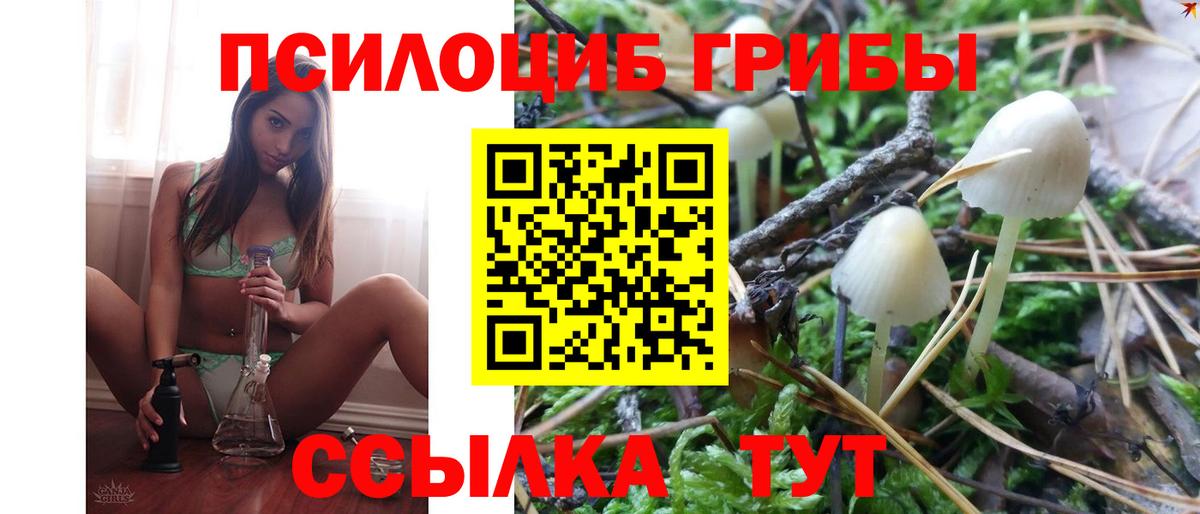 Галлюциногенные грибы MAGIC MUSHROOMS  Вход с VPN  Новошахтинск 