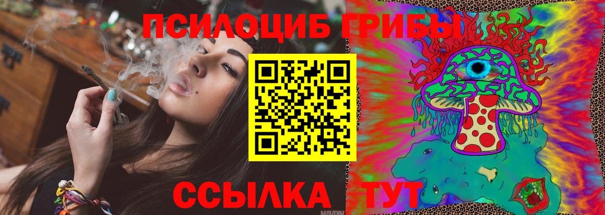 Галлюциногенные грибы Cubensis Новошахтинск