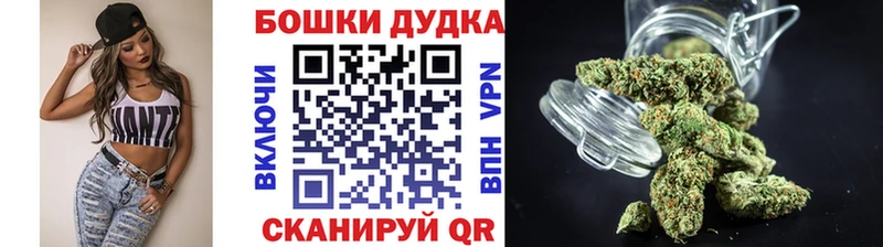 где купить наркотик  Новошахтинск  Канабис план 